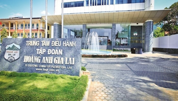 Hoang Anh Gia Lai (HAG) converts subsidiary debt into shares