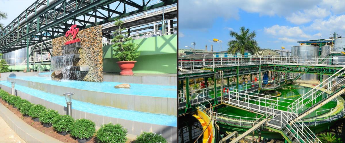 Liên tiếp nhân rộng phần mềm thực đơn dinh dưỡng của Bộ Y tế cho bà mẹ và trẻ em - Ảnh 4.