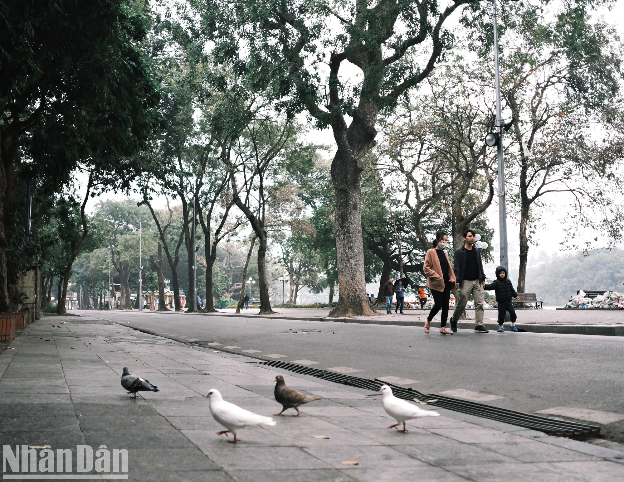 [Foto] El invierno de Hanoi llega tarde foto 11