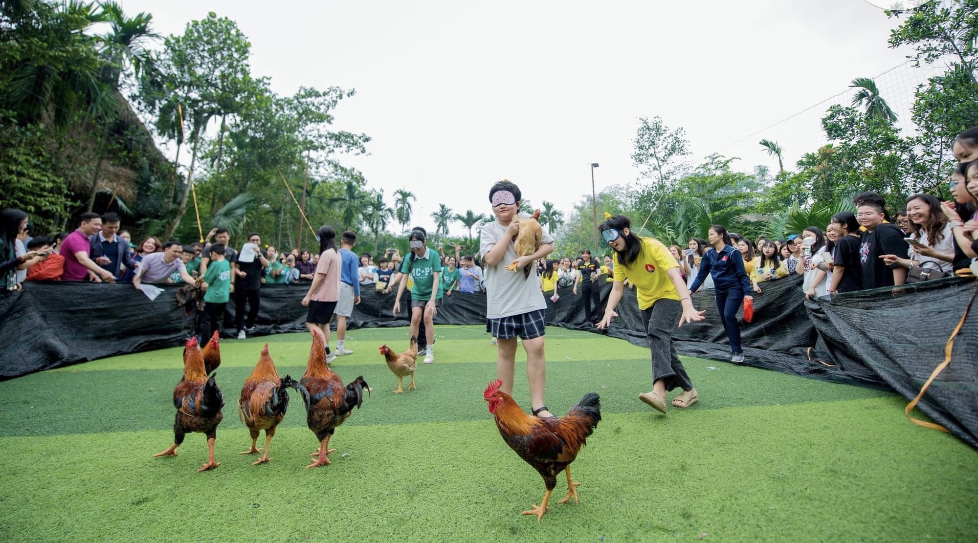 Thận trọng khi cho học sinh đi dã ngoại tự phát - Ảnh 1.