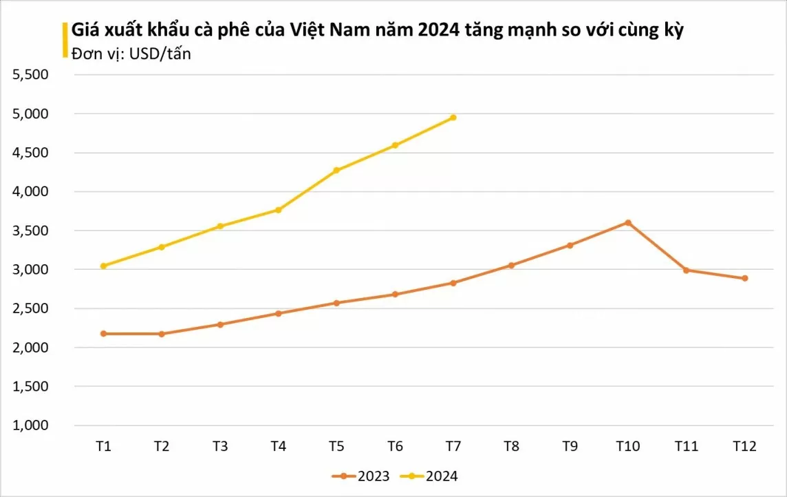 Giá cà phê xuất khẩu của Việt Nam tăng mạnh 52%