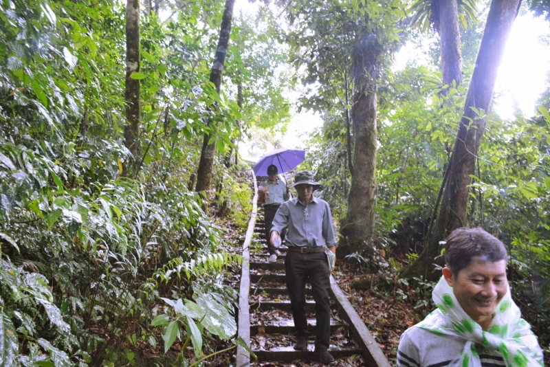 Mr. Trinh Minh Qui (the leader) - Director of Nam Tra My Technical Center leads the way to Ngoc Linh ginseng conservation area