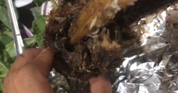 Authorities inspect restaurant selling grilled snakehead fish with maggots