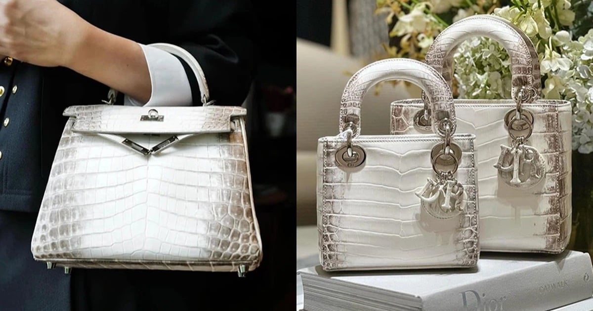 Loạt thiết kế da cá sấu siêu hiếm giống túi Hermès bà Trương Mỹ Lan xin lại