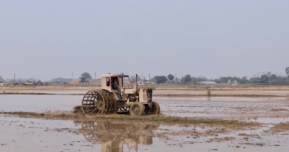 Hanoi and 10 Northern provinces are about to have enough water for spring crop cultivation.