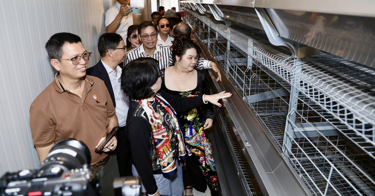 첨단 닭 사육 프로젝트 덕분에 가난한 해안 지역이 '변신'