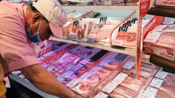 Los precios del cerdo han disminuido esporádicamente, siendo el más bajo de 49.000 VND/kg.