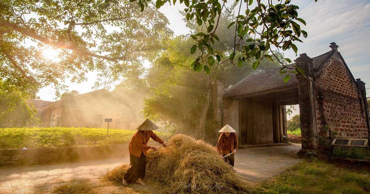 Dernière expérience de visite de l'ancien village de Duong Lam 2024