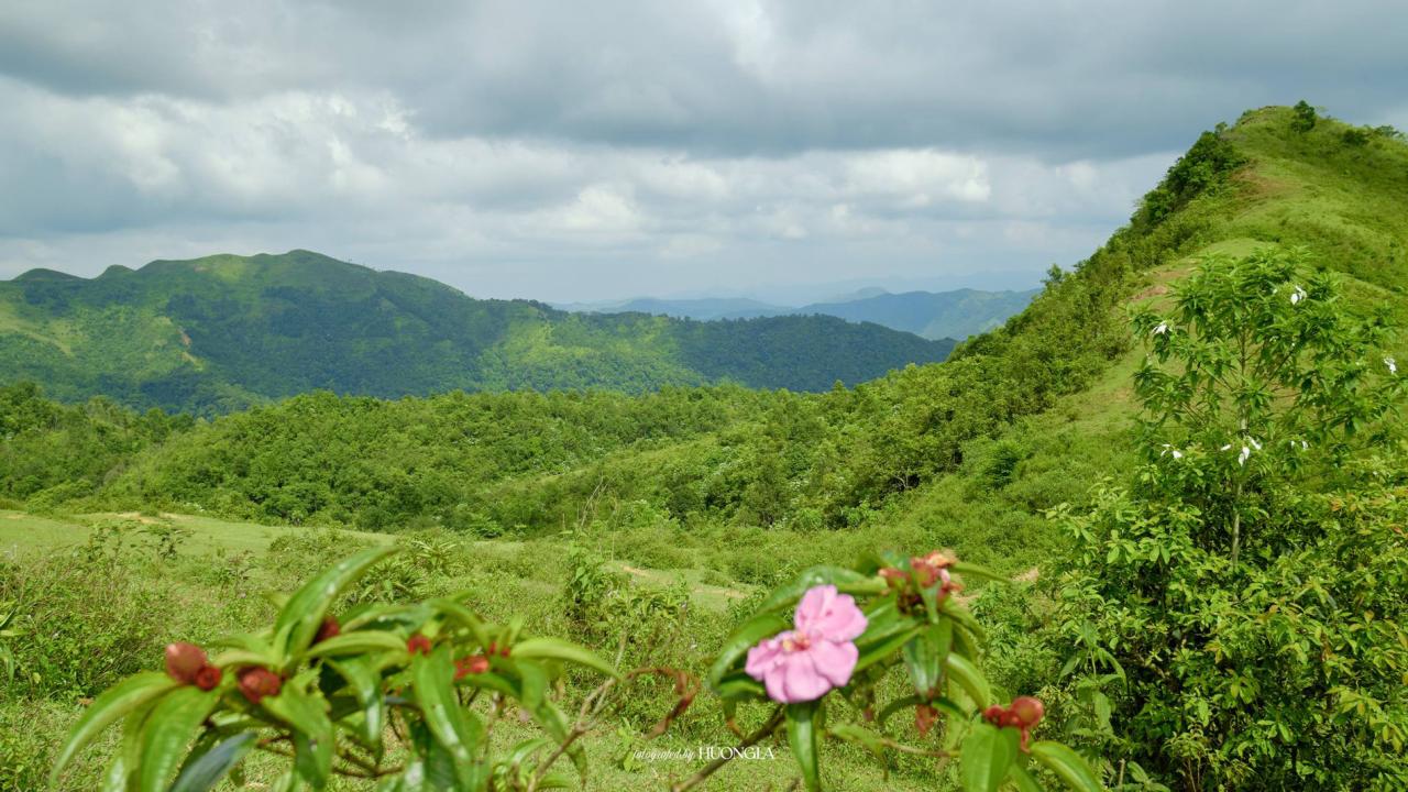 'Đà Lạt thu nhỏ' cách Hà Nội 100km, khách tới săn mây, cắm trại giữa rừng