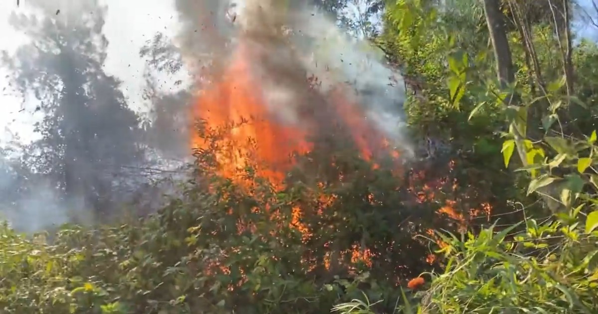 Des centaines de personnes mobilisées pour éteindre les incendies de forêt à Ha Tinh