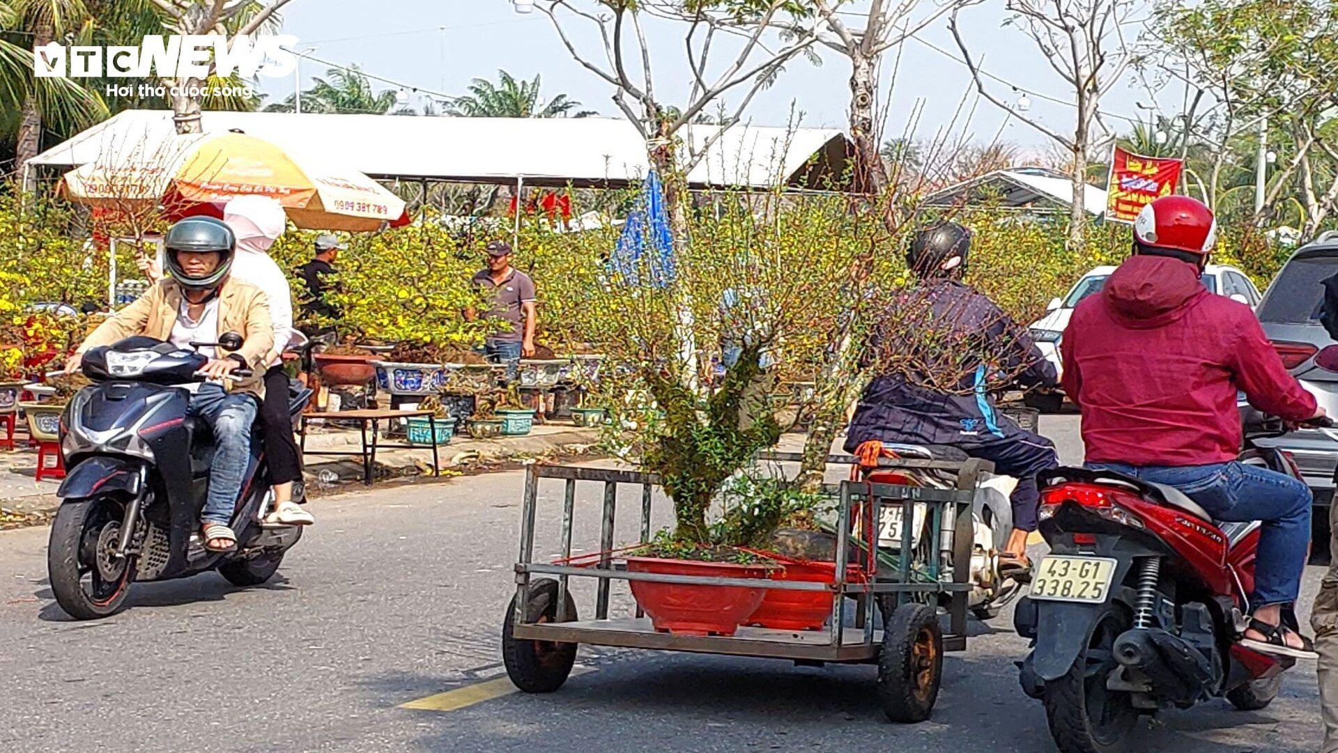 Transportando flores del Tet para ganar millones cada día, los conductores trabajan día y noche - 1