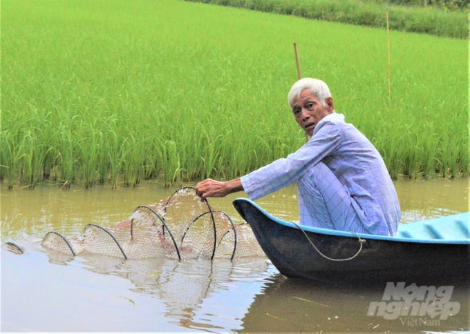 Kien Giang has an area of ​​over 100 thousand hectares of rice-shrimp rotation production, which is a favorable environment for organic agricultural production. Photo: Trung Chanh.