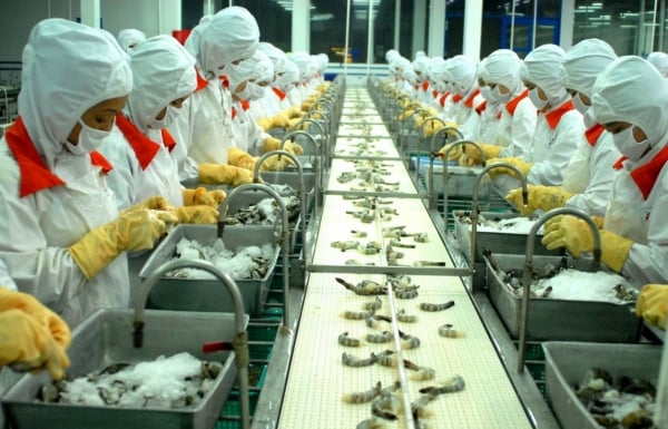 Le soutien aux exportations de fruits de mer vietnamiens ouvre les portes de l'Australie