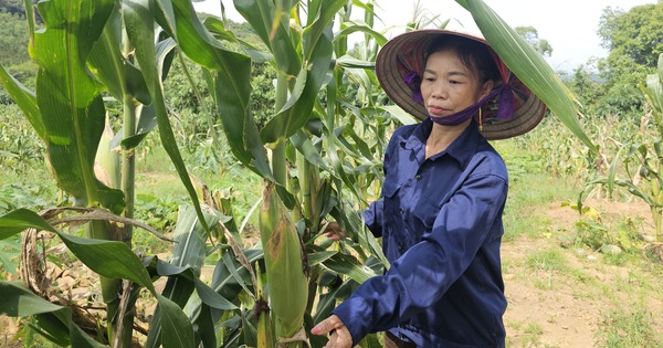 Single mother has "abundance" thanks to starting a business with local agricultural products