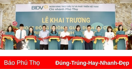 Khai trương hoạt động phòng giao dịch Âu Cơ