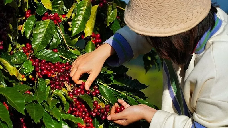 Invertir en tecnología verde para la exportación: no hay tiempo que perder