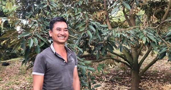 Hang Ka Land à Lam Dong, un jardin de durians d'une valeur d'un milliard de dollars est en fleurs, le propriétaire sourit brillamment