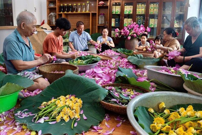 Quang An Lotustee ist ein nationales immaterielles Kulturerbe Bild 1