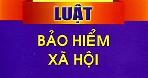 ផែនការអនុវត្តច្បាប់ស្តីពីការធានារ៉ាប់រងសង្គម និងដំណោះស្រាយលេខ ១៤២/២០២៤/QH១៥