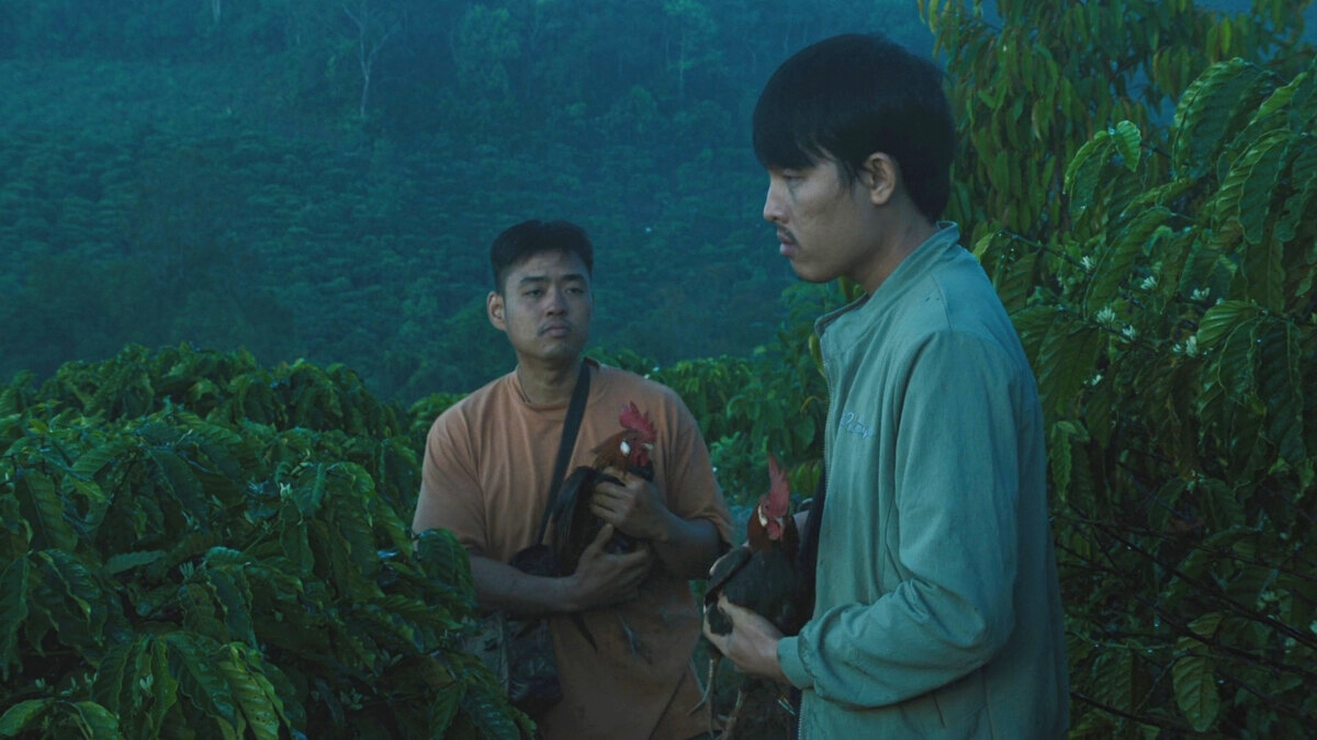 'Bên trong vỏ kén vàng', phim đoạt giải Cannes, ra rạp Việt từ ngày 11.8 - Ảnh 1.