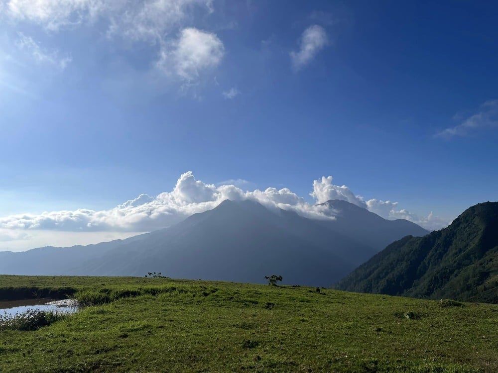 Oben auf dem Hügel stehend, können Besucher in aller Ruhe das grüne Grasland und die grasenden Herden schwarz-weißer Kühe bewundern. Die Landschaft hier ist wild und friedlich zugleich, wie ein Gemälde. Foto: NVCC