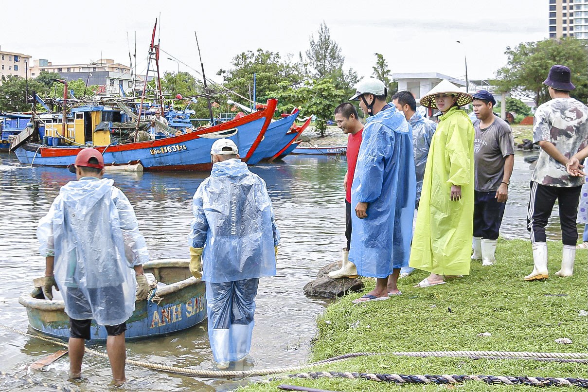 Los pescadores de Da Nang pescan cerca de la costa y ganan millones tras la tormenta (foto 1)