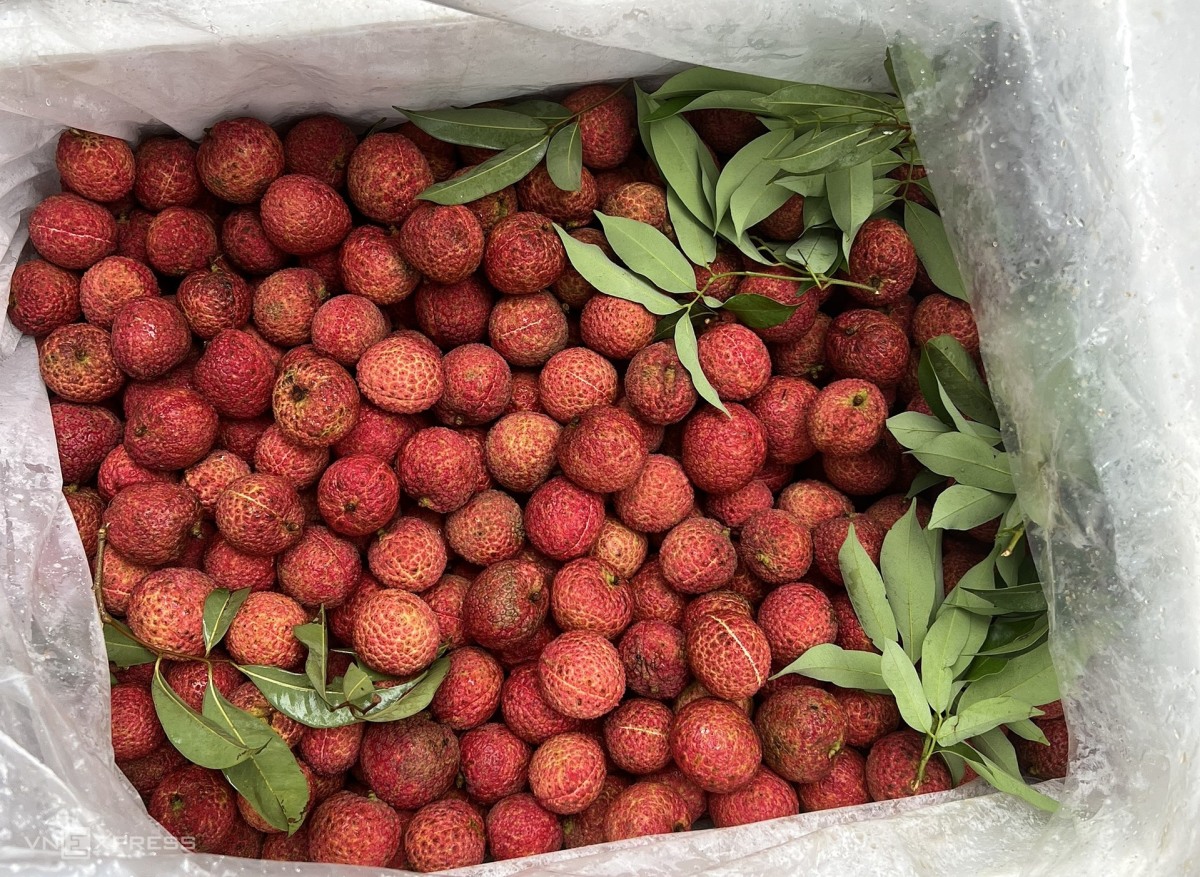 800 000 VND par kg de litchi sans pépins