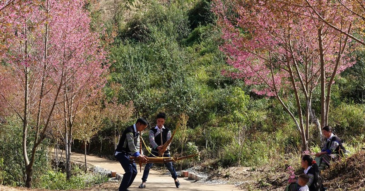 'Flotando' con flauta Mong y flores de hoy en Mu Cang Chai