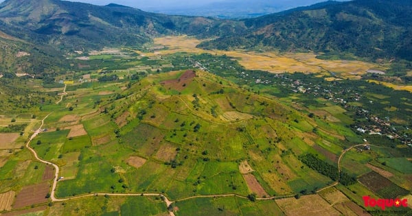 Chiêm ngưỡng hàng triệu hoa dã quỳ nhuộm vàng núi lửa Chư Đang Ya