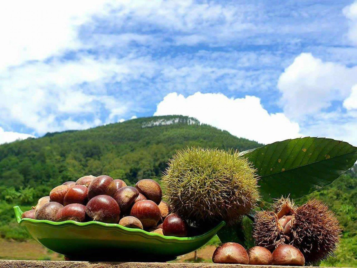 Preise für Agrarprodukte heute, 4. September: Pfefferpreise explodieren; Mini-Durian kostet ab 70.000