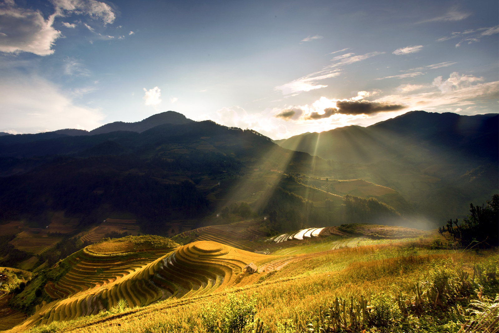 Mu Cang Chai