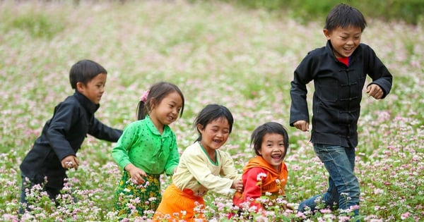 Hà Giang sẵn sàng đón du khách trong mùa hoa tam giác mạch đẹp nhất trong năm