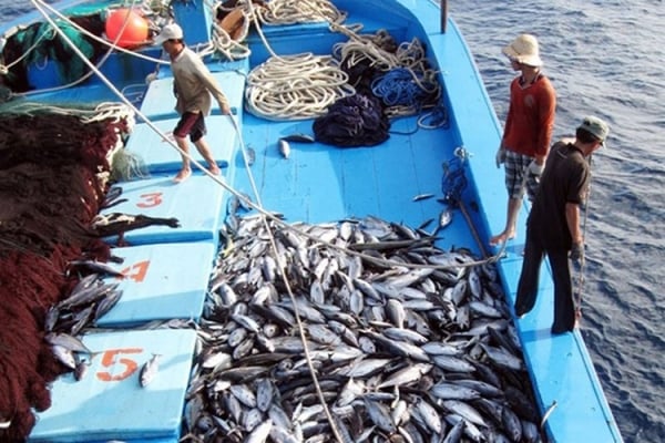 Liste des produits de la mer les plus exportés en août