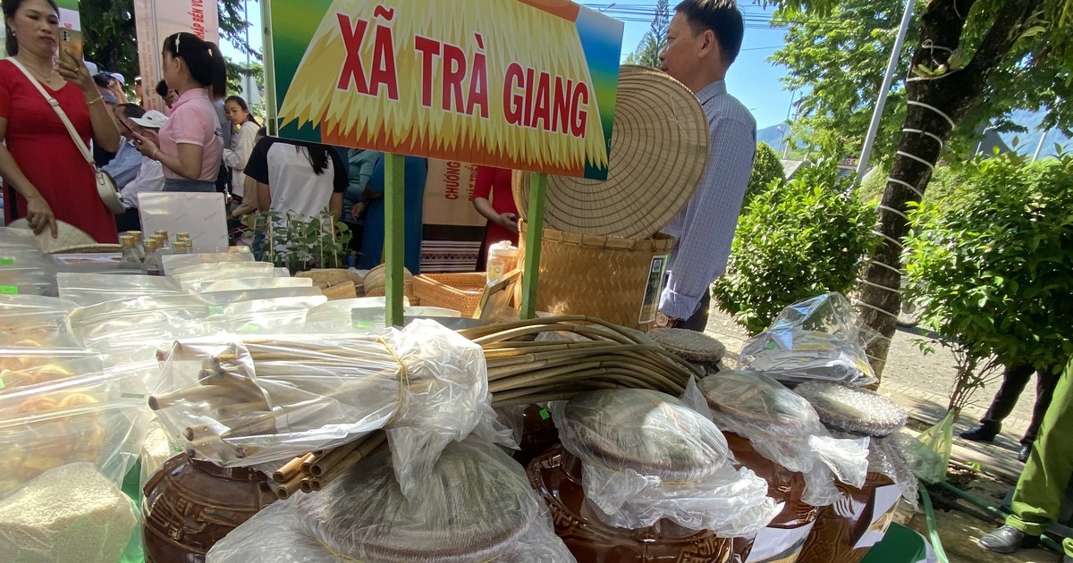 Cientos de especialidades presentadas en el festival que promociona los productos montañosos de la provincia de Quang Nam