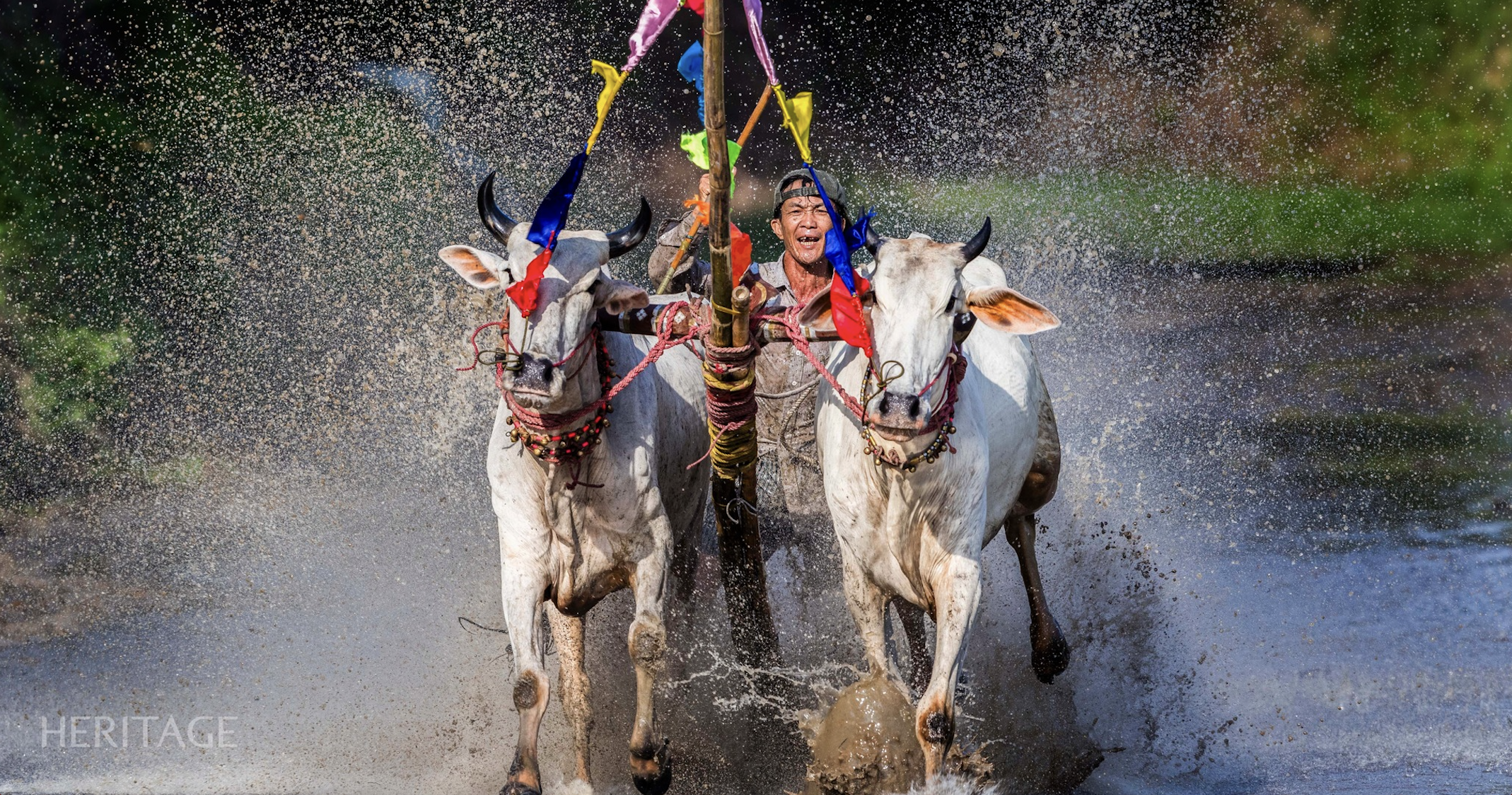 Aufregendes Bay Nui Bull Racing Festival in An Giang