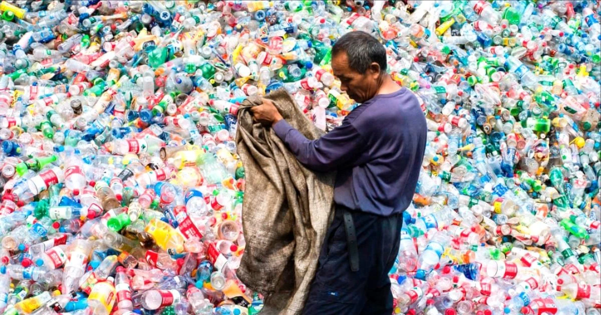 プラスチック廃棄物をバイオファイバーに変える