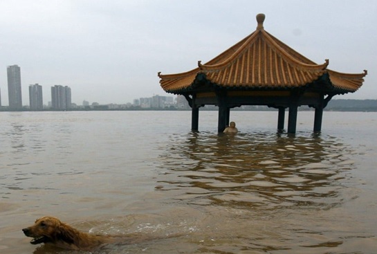 China's coastal cities in formation 1