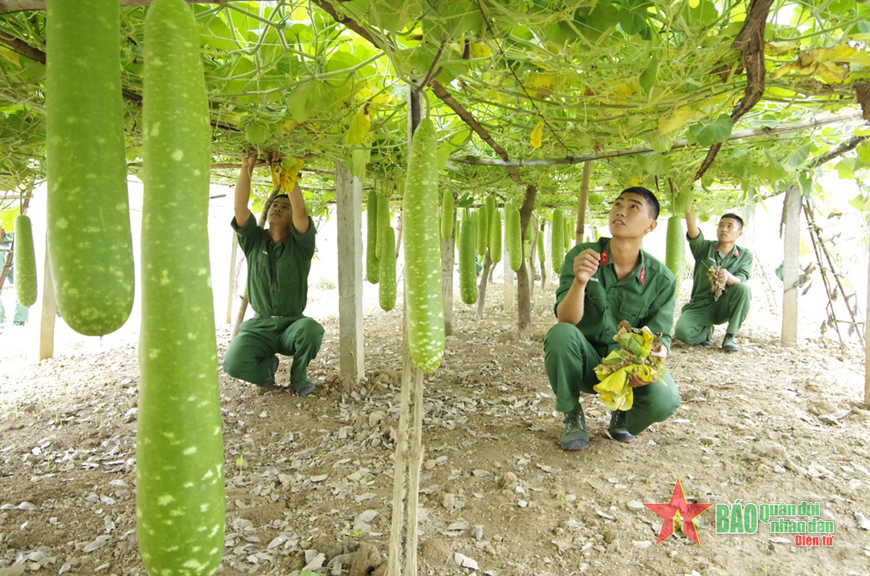 Tự soi, tự sửa ở Sư đoàn 312