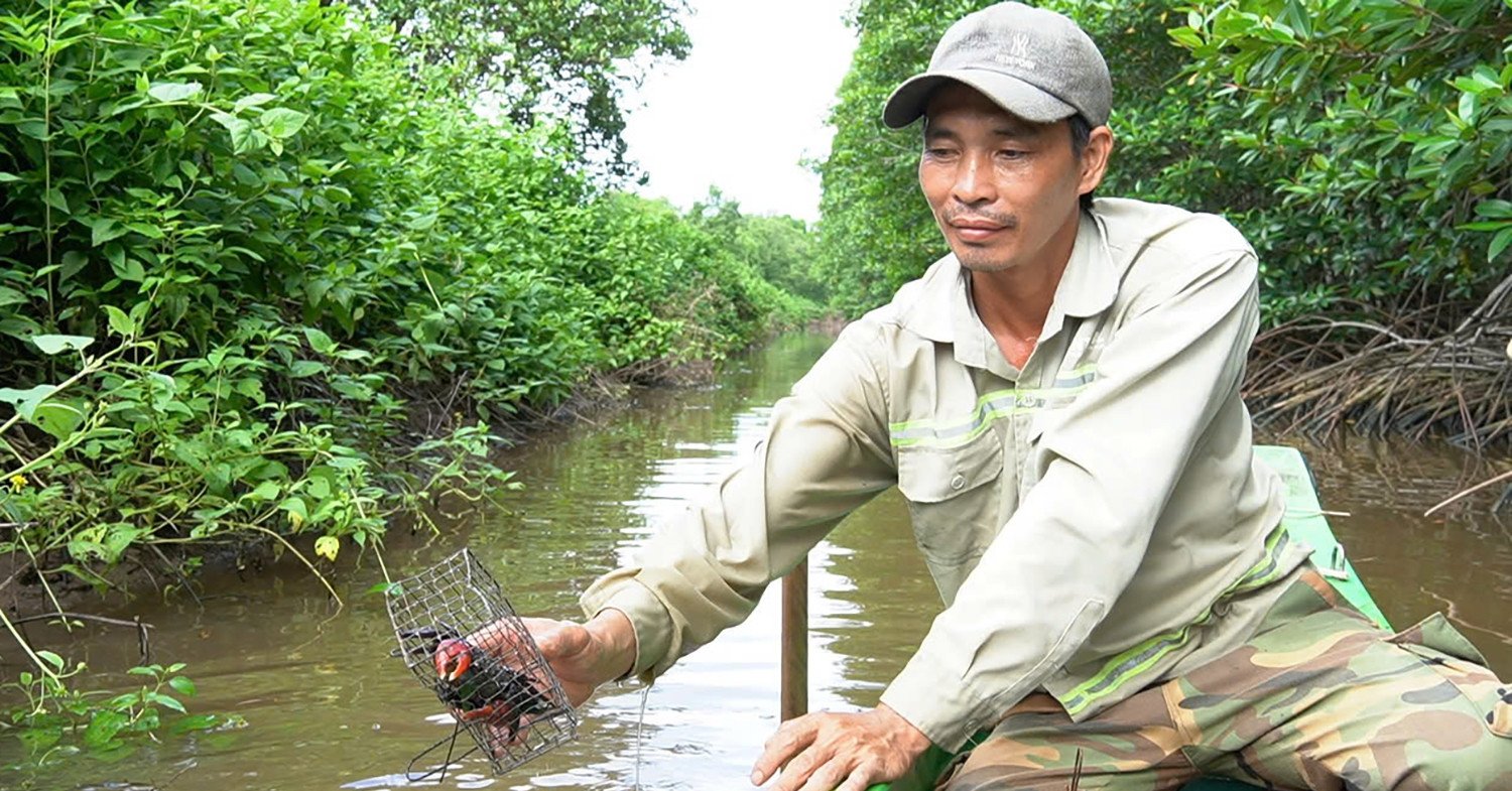 Nông dân miền Tây tiết lộ bí quyết bắt 'vua đào hang', kiếm mỗi ngày nửa triệu