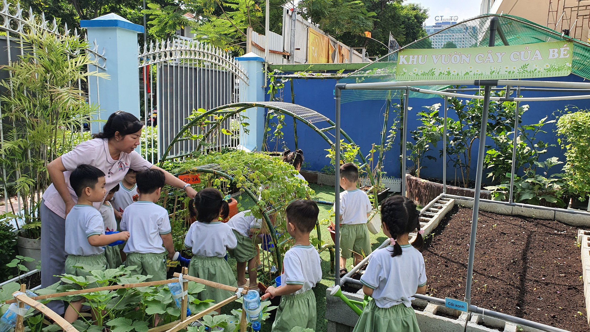 Giáo dục STEM, STEAM là gì, có khác nhau, tác dụng thế nào? - Ảnh 3.