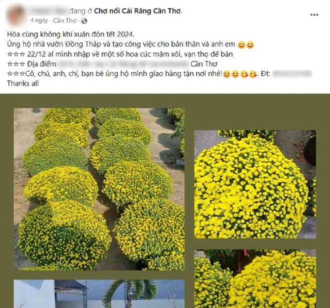 Selling Tet flowers in the 4.0 era, gardeners no longer worry about space costs