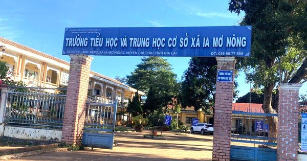 Hiệu trưởng lập khống hồ sơ, bán cây xanh, cho dạy thay chỉ bị yêu cầu “nghiêm khắc tự kiểm điểm”