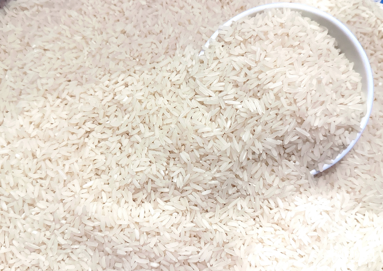 Exportación de arroz.png