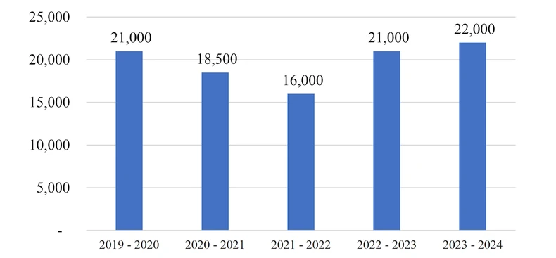 The number of foreign students coming to Vietnam to study is increasing photo 1