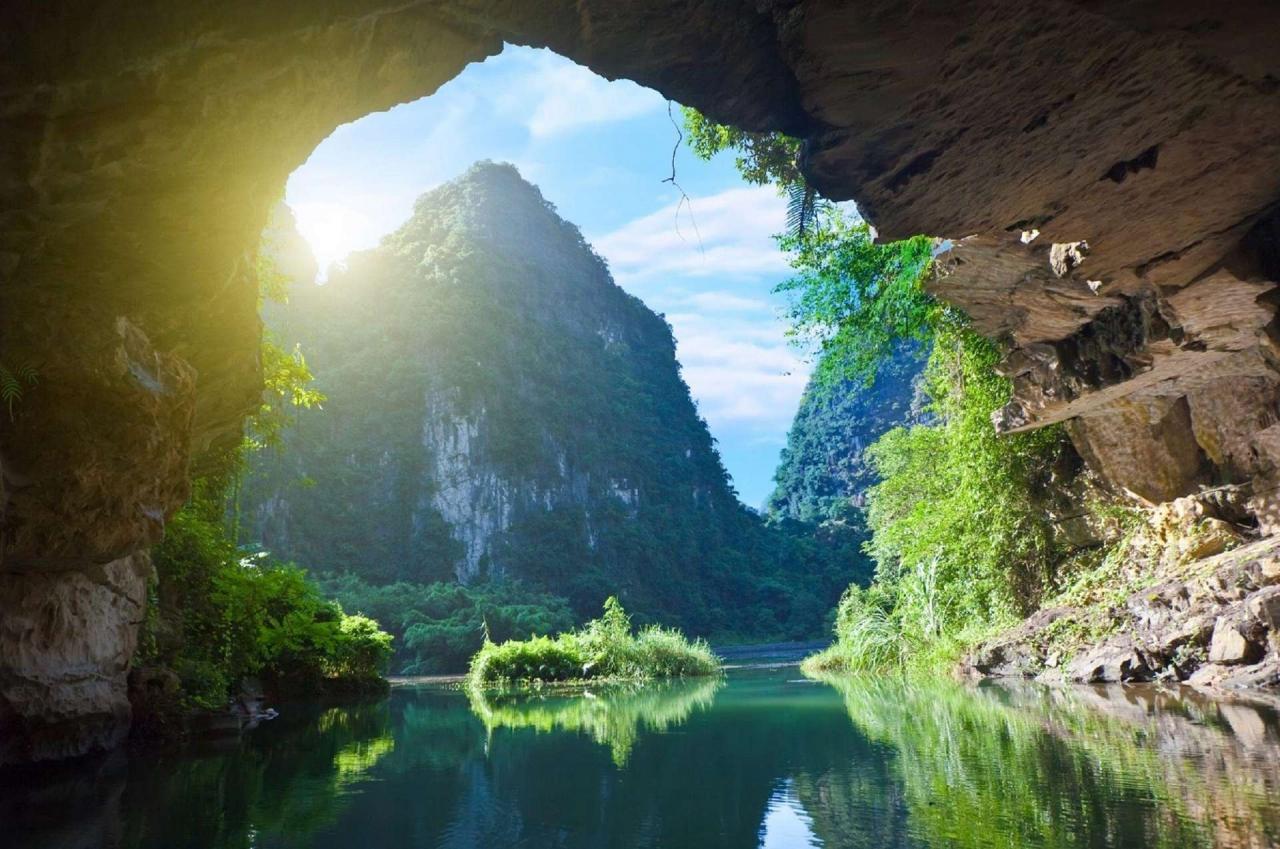 Admirez la beauté du jardin d'oiseaux de Thung Nham, Ninh Binh