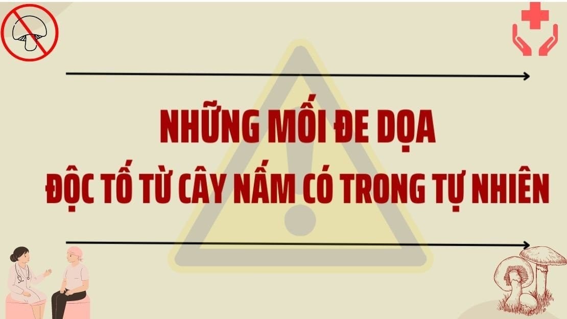 Những mối đe dọa độc tố từ cây nấm có trong tự nhiên