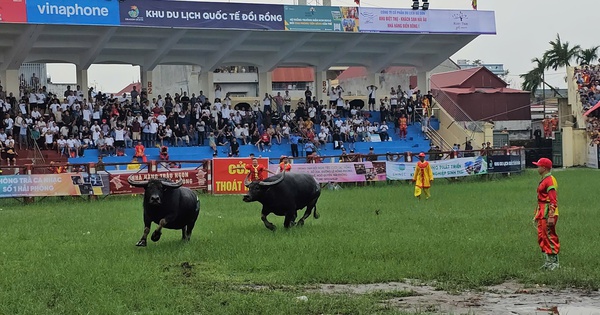 ឈ្មួញកណ្តាលលក់សំបុត្រផ្តល់នូវការភ្ញាក់ផ្អើលភ្លាមៗពីការប្រកួតដំបូង