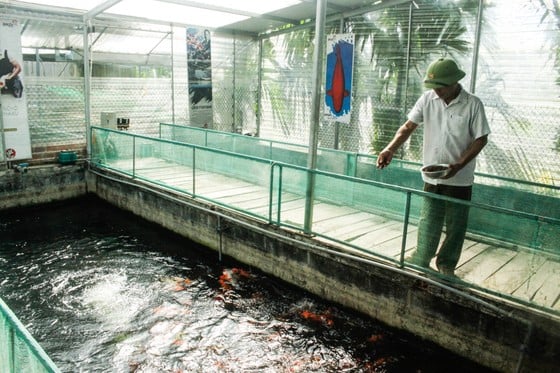 Các hồ nuôi đầu tư theo quy chuẩn, đảm bảo môi trường trong sạch. Ảnh: NGUYỄN TRANG