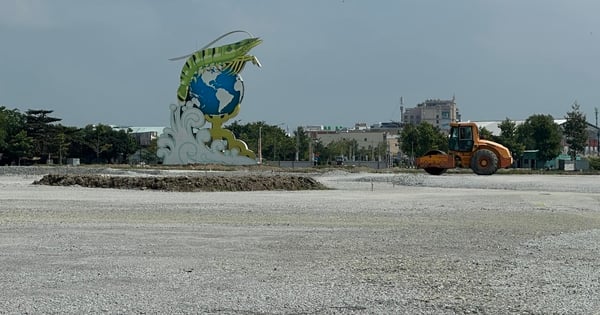 Ca Mau augmente de 43 milliards le capital d'investissement de la place avec le symbole de la crevette