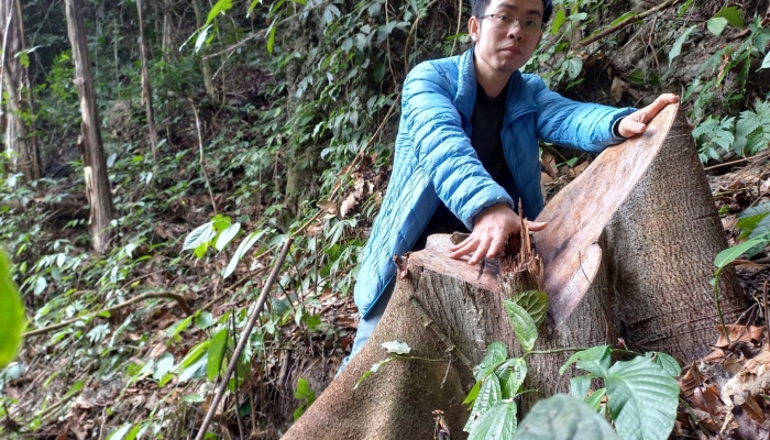 Revelando la verdad sobre la ruta de la madera ilegal